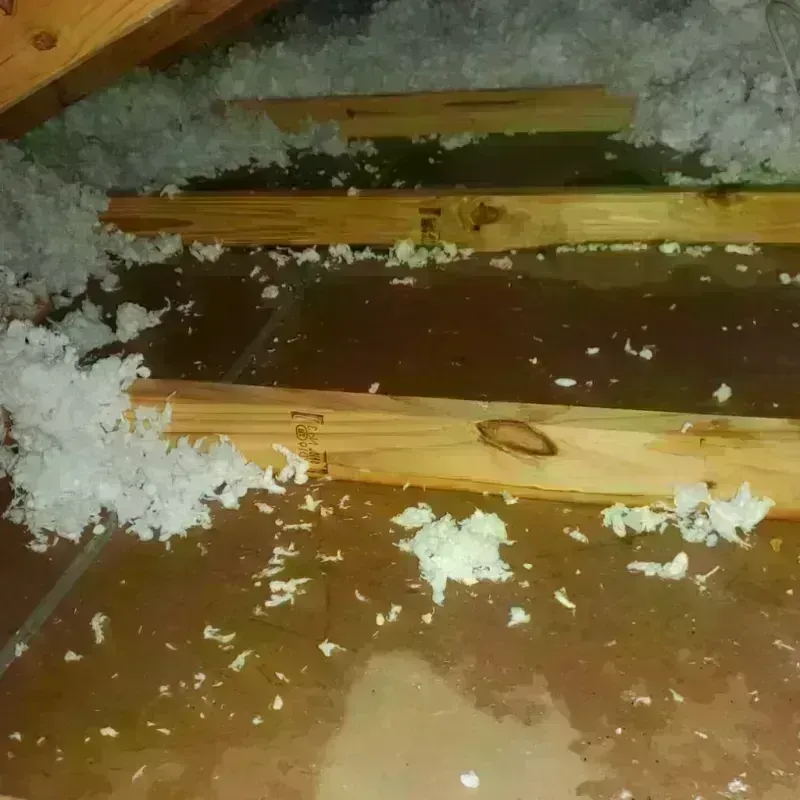 Attic Water Damage in Flora Vista, NM