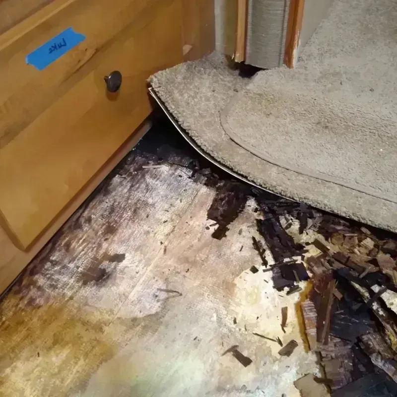 Best Wood Floor Water Damage Service in Flora Vista, NM